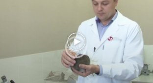 Доктор биологических наук предлагает для выявления болезней дуть в крысу