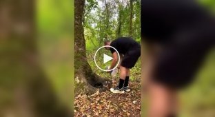 A camera trap spent a week filming animals visiting a small child. water source