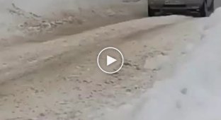 The girl's diversion maneuver sent the rally participant into a snowdrift