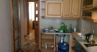 The owner of a St. Petersburg apartment will forever remember the terrible word piska (5 photos)
