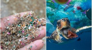 The amount of microplastic in the world's oceans has tripled since the 2000s (6 photos)
