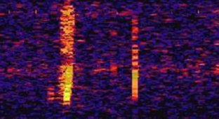 What Made the Mysterious Bloop Sound in Point Nemo? (3 photos)