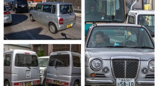 На каких машинах ездят сами японцы (20 фото)
