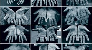 Руки и дела, которые они делают (12 фото)