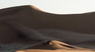 Дюны Намибии (28 фото)