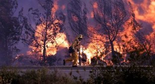 Пожары в Калифорнии (30 фото)