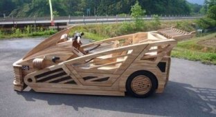 Деревянный автомобиль (7 фото)
