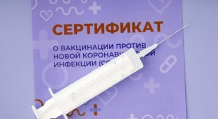 Без укола. Как устроен черный рынок сертификатов вакцинации от коронавируса (10 фото)