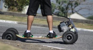 Моторизированный скейт (17 фото)