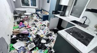 A woman rented out an apartment in Russia to an IT specialist and was horrified (7 photos)