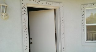 A man woke up in the morning and saw that his entire house was full of holes with acorns in them (7 photos)