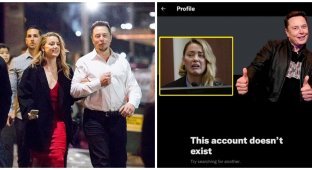 Elon Musk beautifully avenged Amber Heard (2 photos)