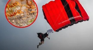 The story of how a parachutist fell from 4,400 meters and survived