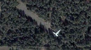  Самолет в лесу (12 фото)