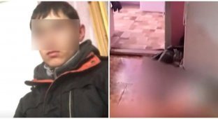 В Омской области 14-летняя девушка попросила ухажёра убить её семью, потому что они запрещали им встречаться (3 фото + 1 видео)