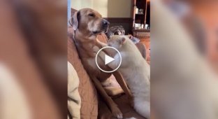 Взаємовигідна спілка