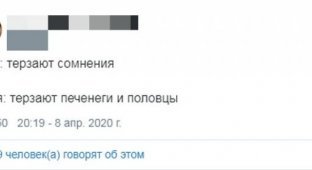 Реакция россиян на речь Владимира Путина про печенегов и половцев (17 фото)