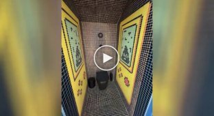 A toilet with interesting cabin designs