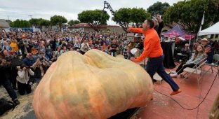 Гарбуз вагою 1246 кг встановив новий світовий рекорд (11 фото)