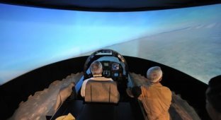 Сингапурское авиашоу 2010 (18 фото)