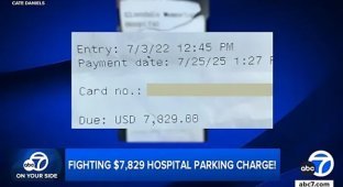 45-minute parking cost the driver 7.8 thousand dollars (1 photo)