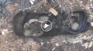 Videos of the work of drone operators on the front line. Part 6