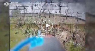 Пограничники уничтожили 3 автомобиля, 3 антенны связи, 3 позиции и 7 укрытий оккупантов в Харьковской области