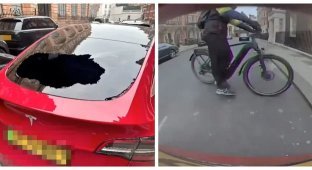 Британец разбил заднее стекло Tesla, заприметив пакет из универмага (4 фото + 2 видео)