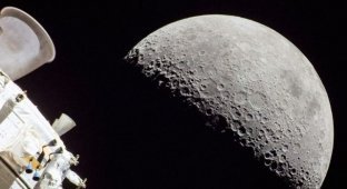 Detailed photos of the moon taken by the Orion spacecraft (3 photos)