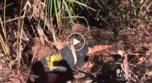 Охотник за змеями поймал 5-метрового питона голыми руками