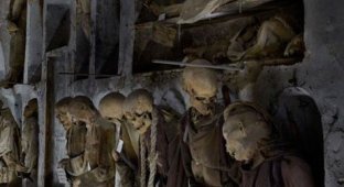 Катакомбы капуцинов - необычное кладбище в Палермо (40 фото)