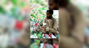 Куди подіються старі пластикові пляшки