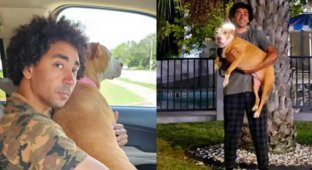Потерявшаяся собака нашлась за 1600 километров от дома спустя 2 года (2 фото + 1 видео)