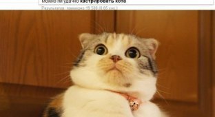Прикольные картинки. Выпуск 1300