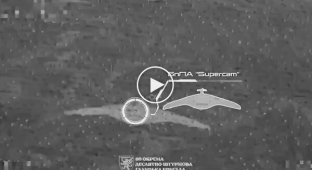 Galician paratroopers destroyed 8 enemy reconnaissance drones in the sky in Kursk region