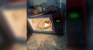 A microwave only heats food with the door open