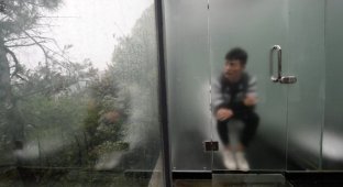 В Китае открылся стеклянный туалет с видом на экопарк (6 фото)