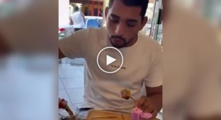 Прекрасные рефлексы