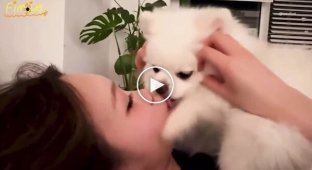 В соцсетях осудили кореянку, которая дала собаке облизать лицо