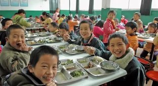 What children are fed in Chinese and Japanese schools (16 photos)