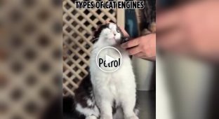 Types of cat engines