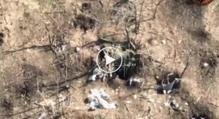 Украинский FPV-дрон залетает в блиндаж российских военных в Запорожской области