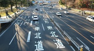 У Японії водіям дають алкоголь, щоб відучити від п'яної їзди (4 фото)