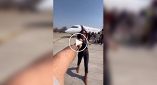 Twisted a beauty in a whirlwind