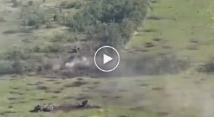 The retreat of the orcs after the first volleys from the Ukrainian military
