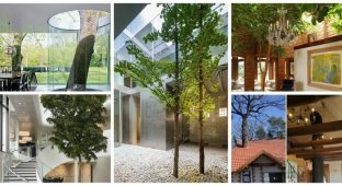 30 странных домов с деревьями: красота или маразм? (33 фото)