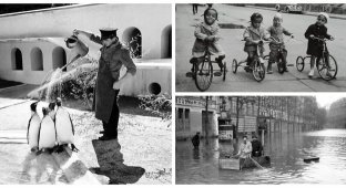 A vinaigrette of historical footage from past years. Issue 179