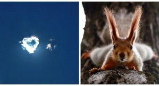 20 фотографий, которые заменят тысячи слов (21 фото)