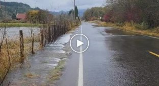 Перепливши в недозволеному місці