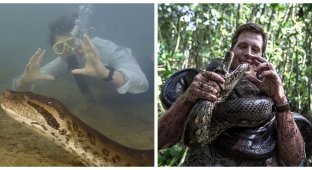 The world's largest snake was discovered in the Amazon rainforest (7 photos + 1 video)